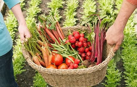 Légumes
